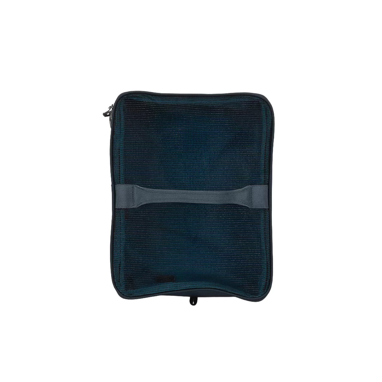 10 LBlue