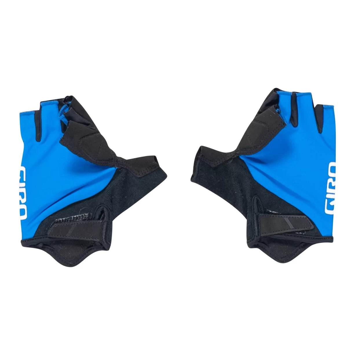 MBlack/Blue