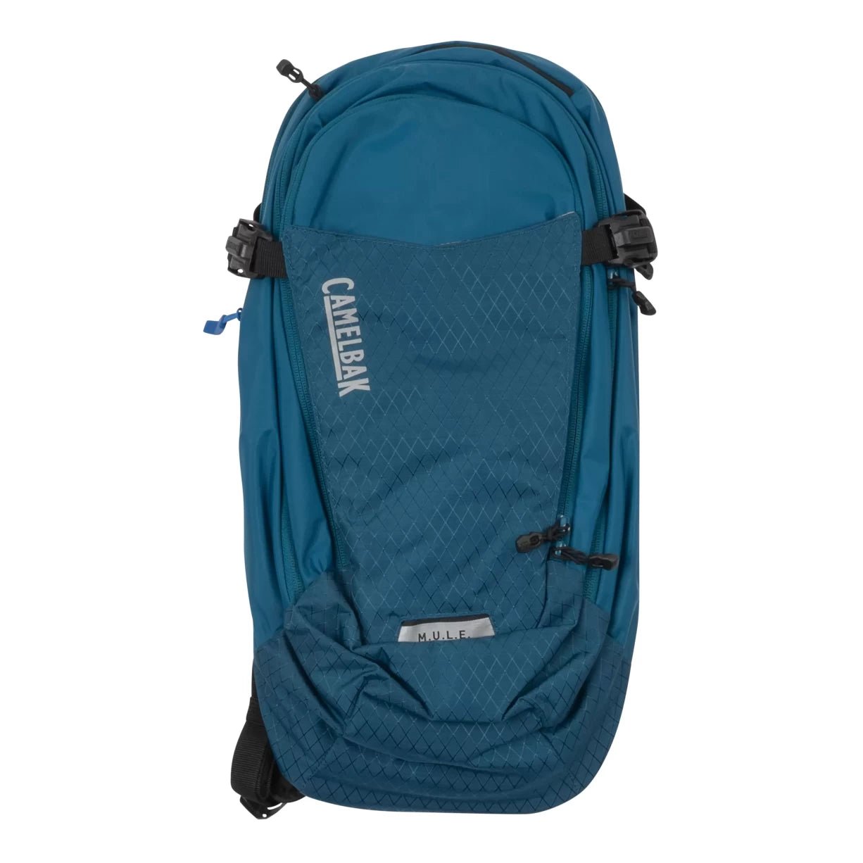 12 LBlue