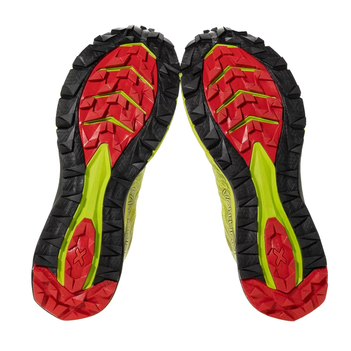 10.5Neon
