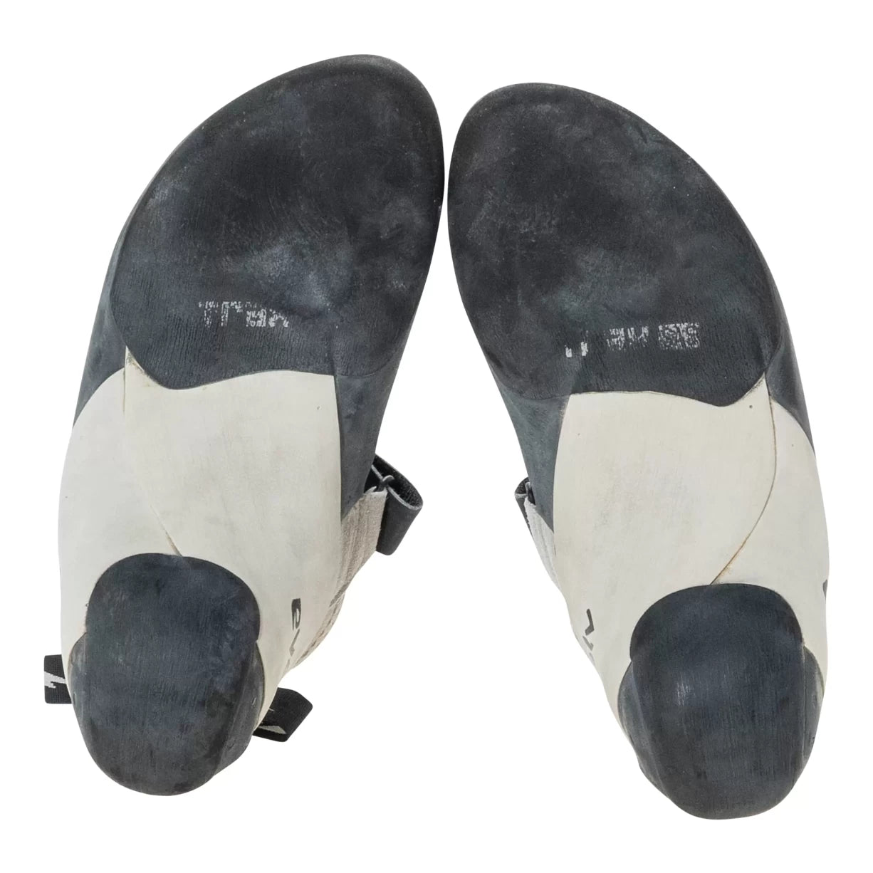 43.0White/Black