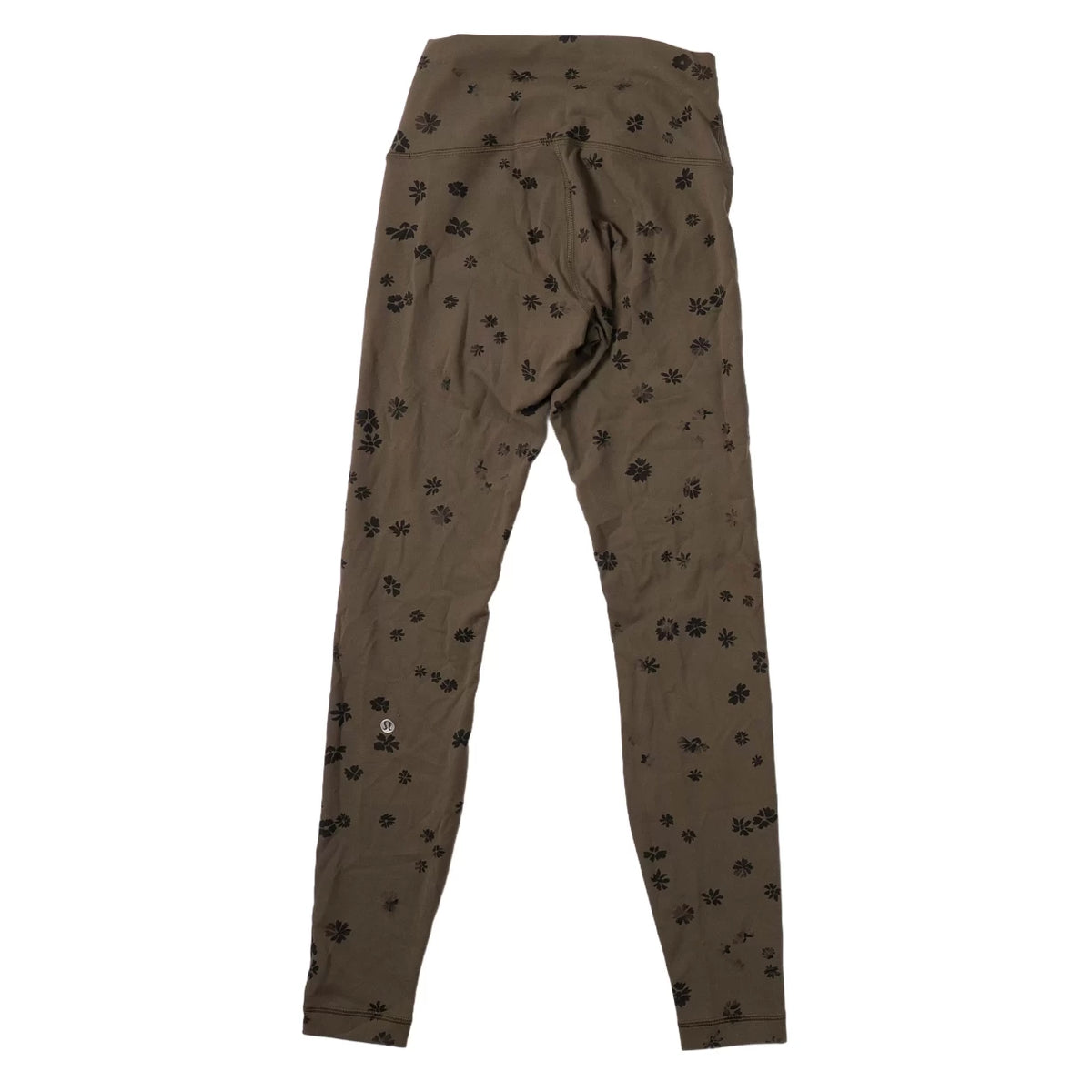 6Olive Brown