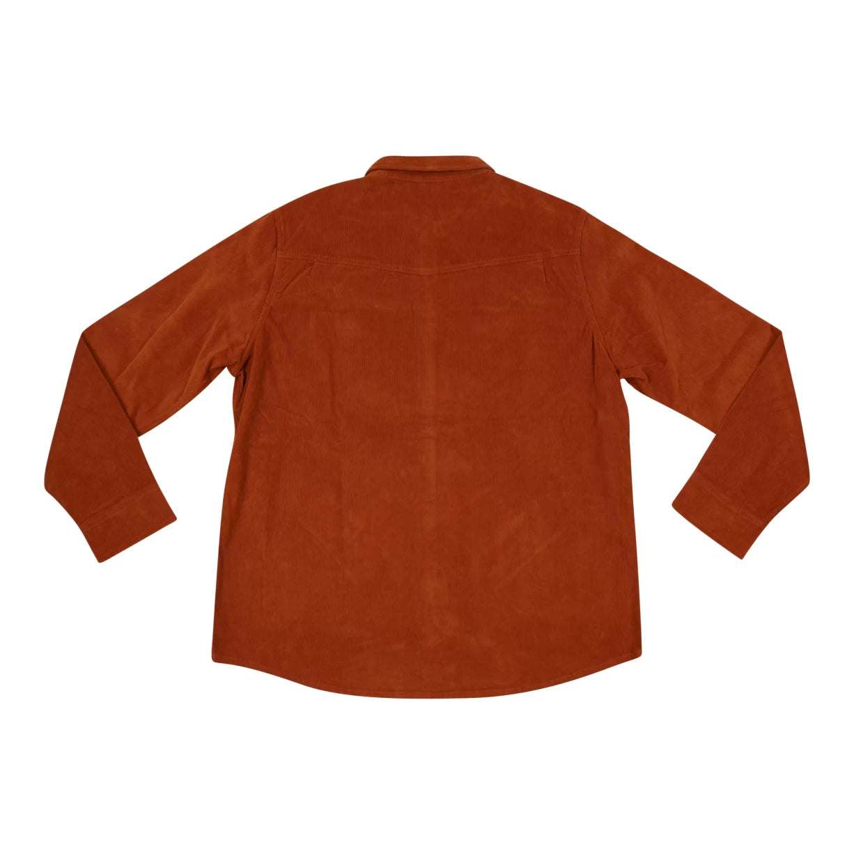 XXLBurnt Orange