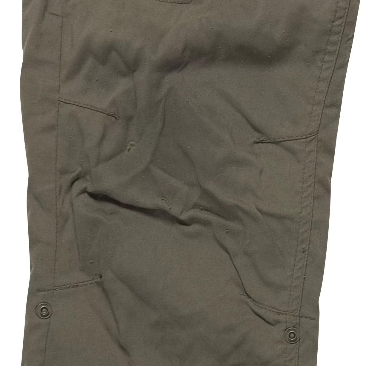 8Olive