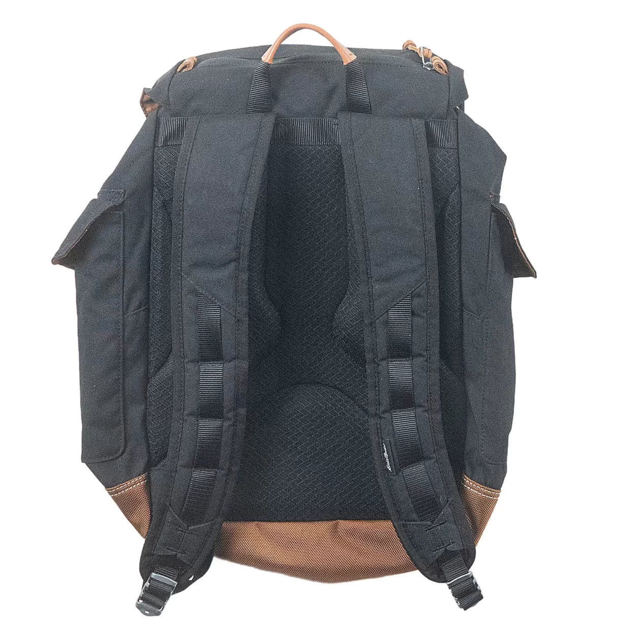 25 LBlack/Brown