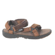 8Brown