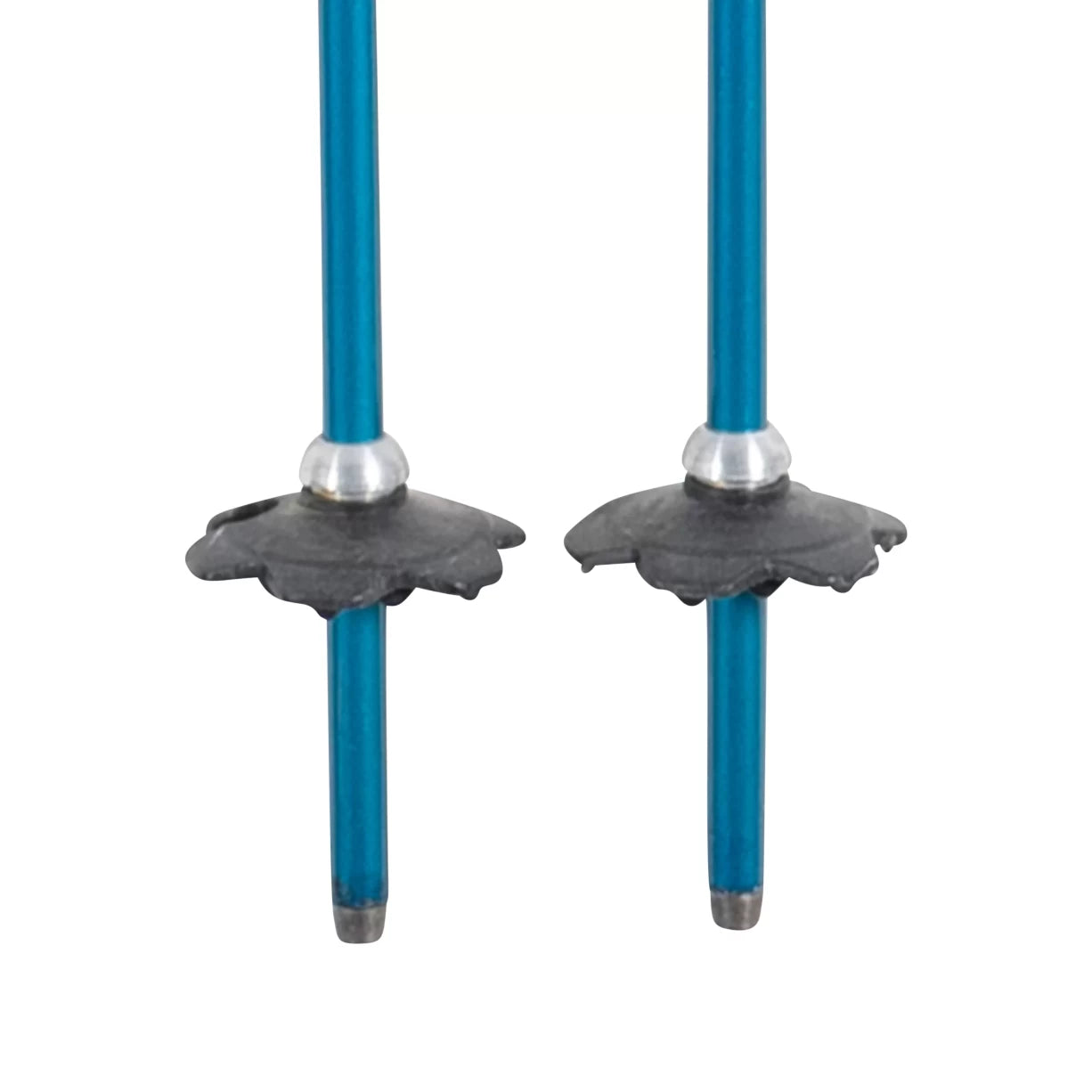 48"Black/Blue