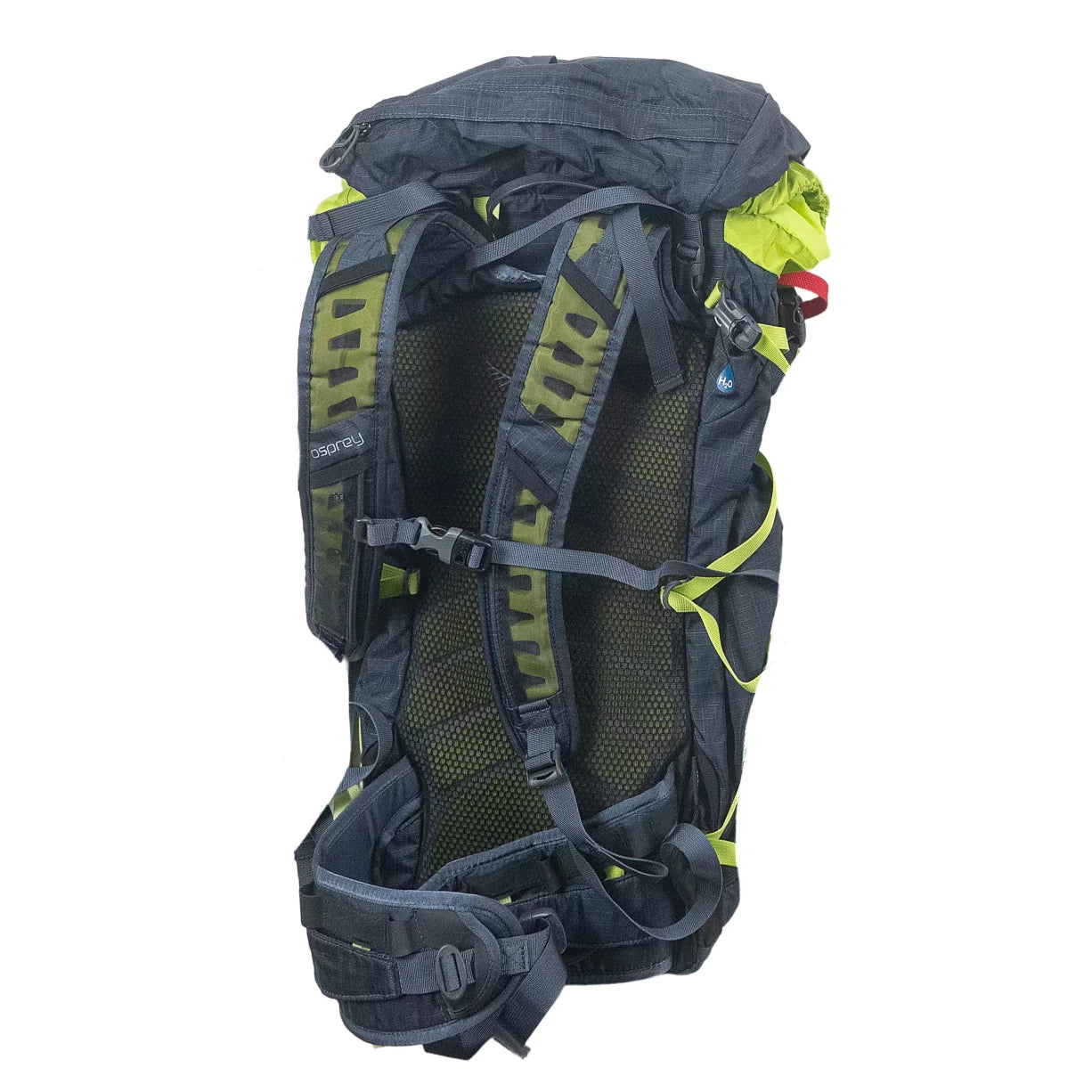 38 LGreen