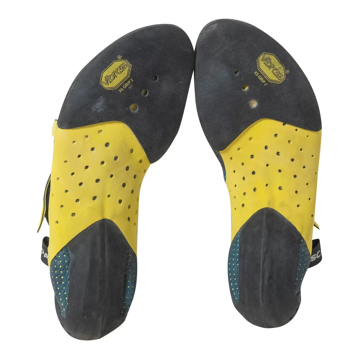 43.5Blue/Yellow