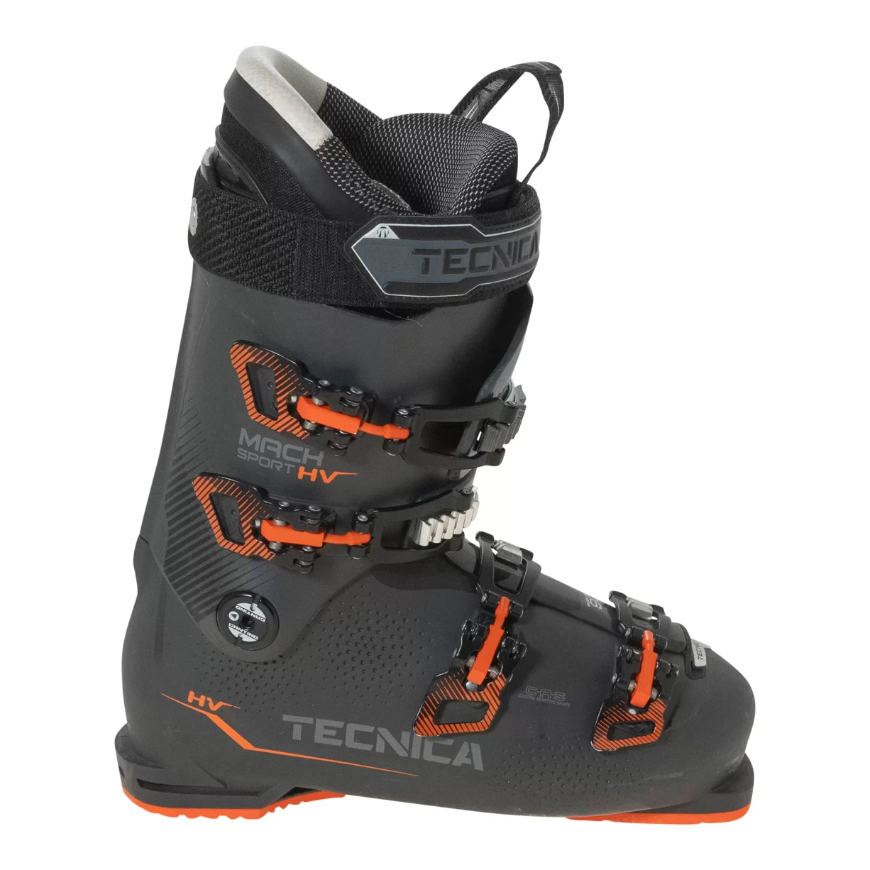 29.5Gray