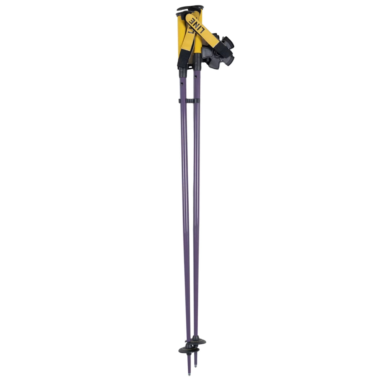 AdjustablePurple