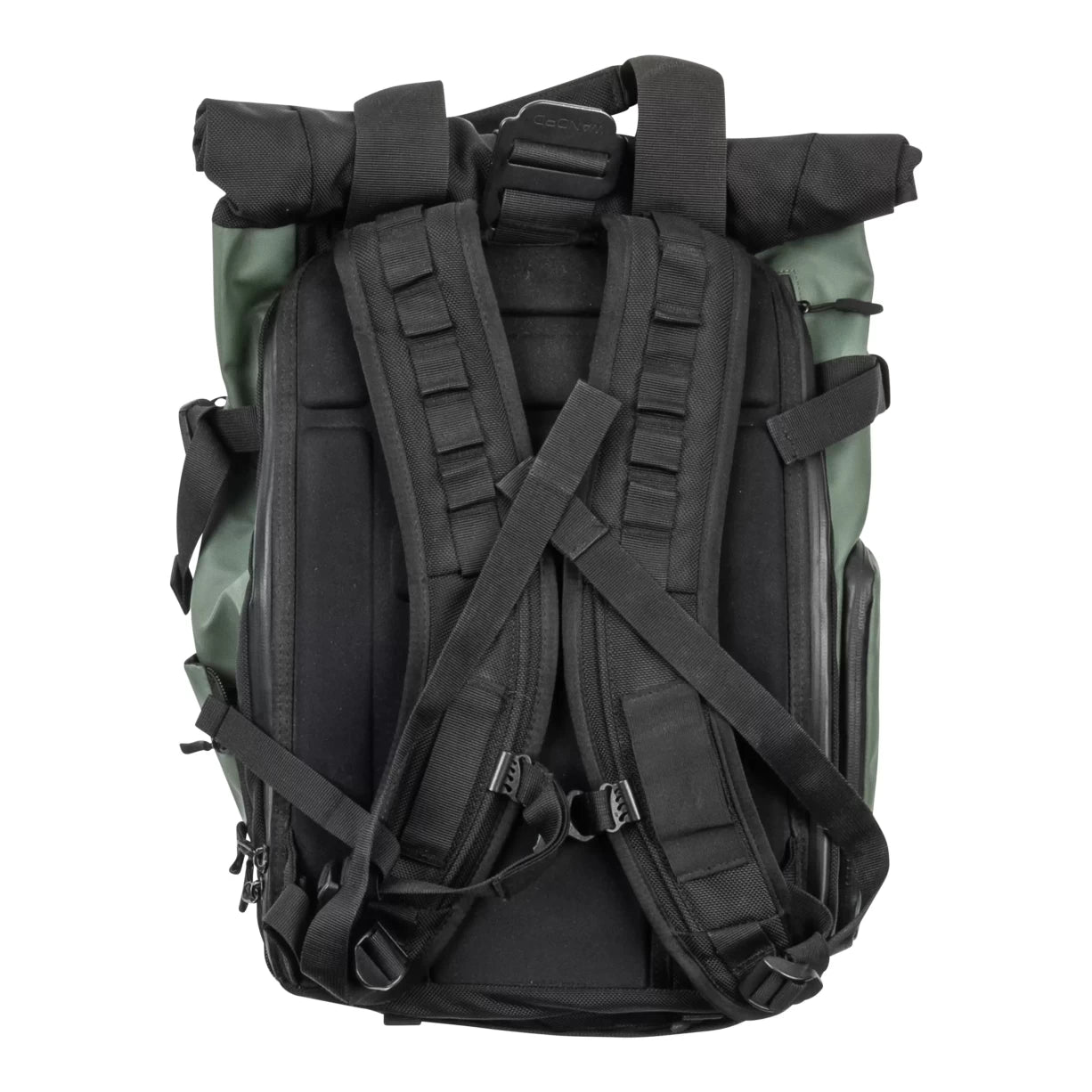 31 LGreen