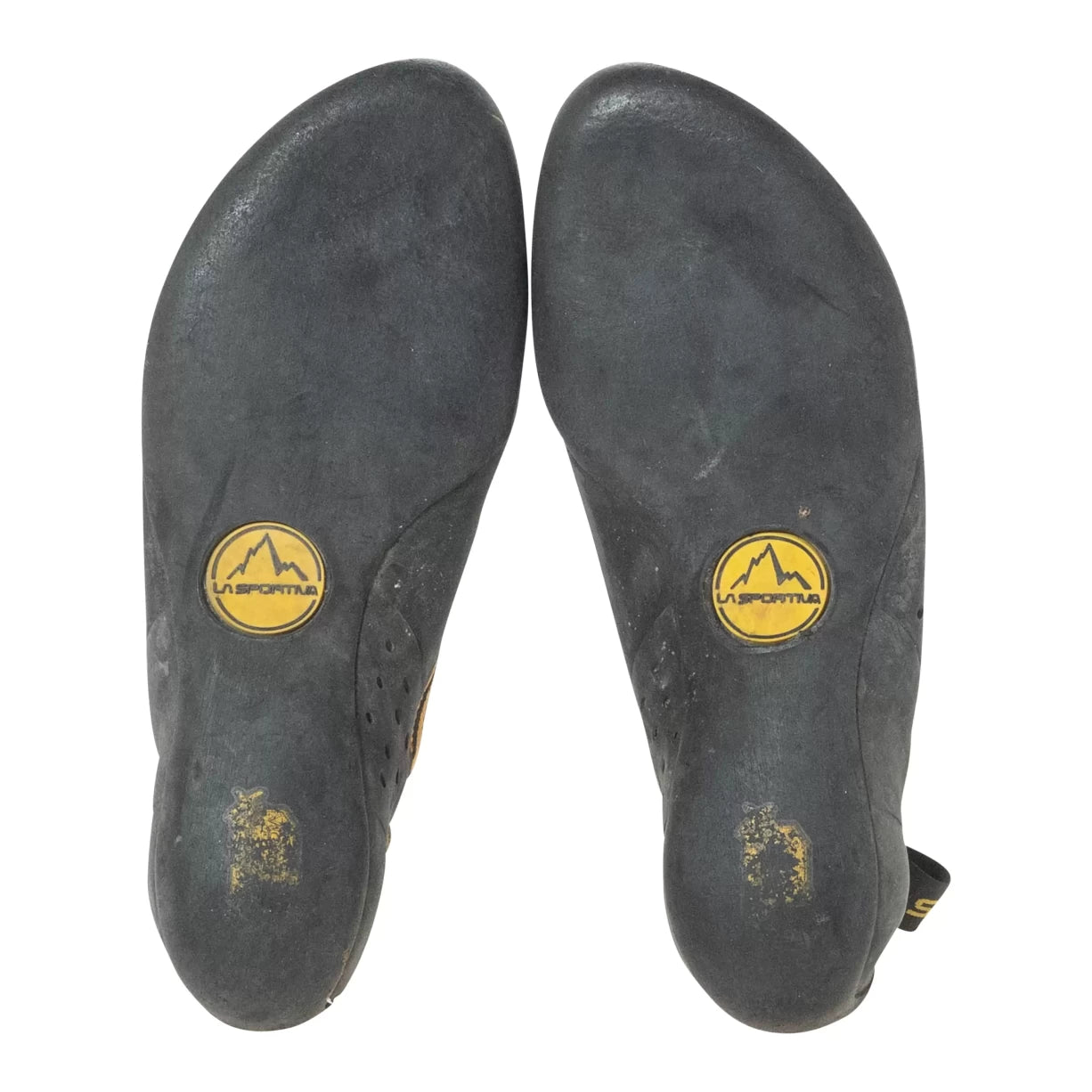 41.0Yellow/Black
