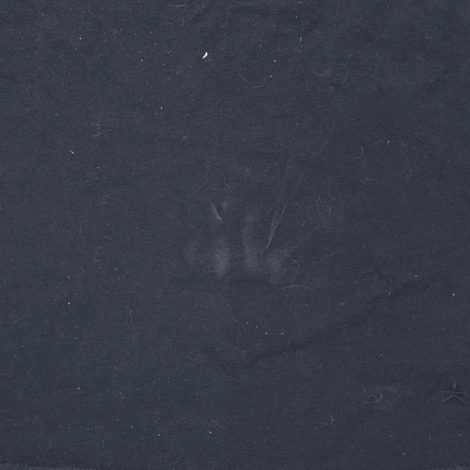 SBlack