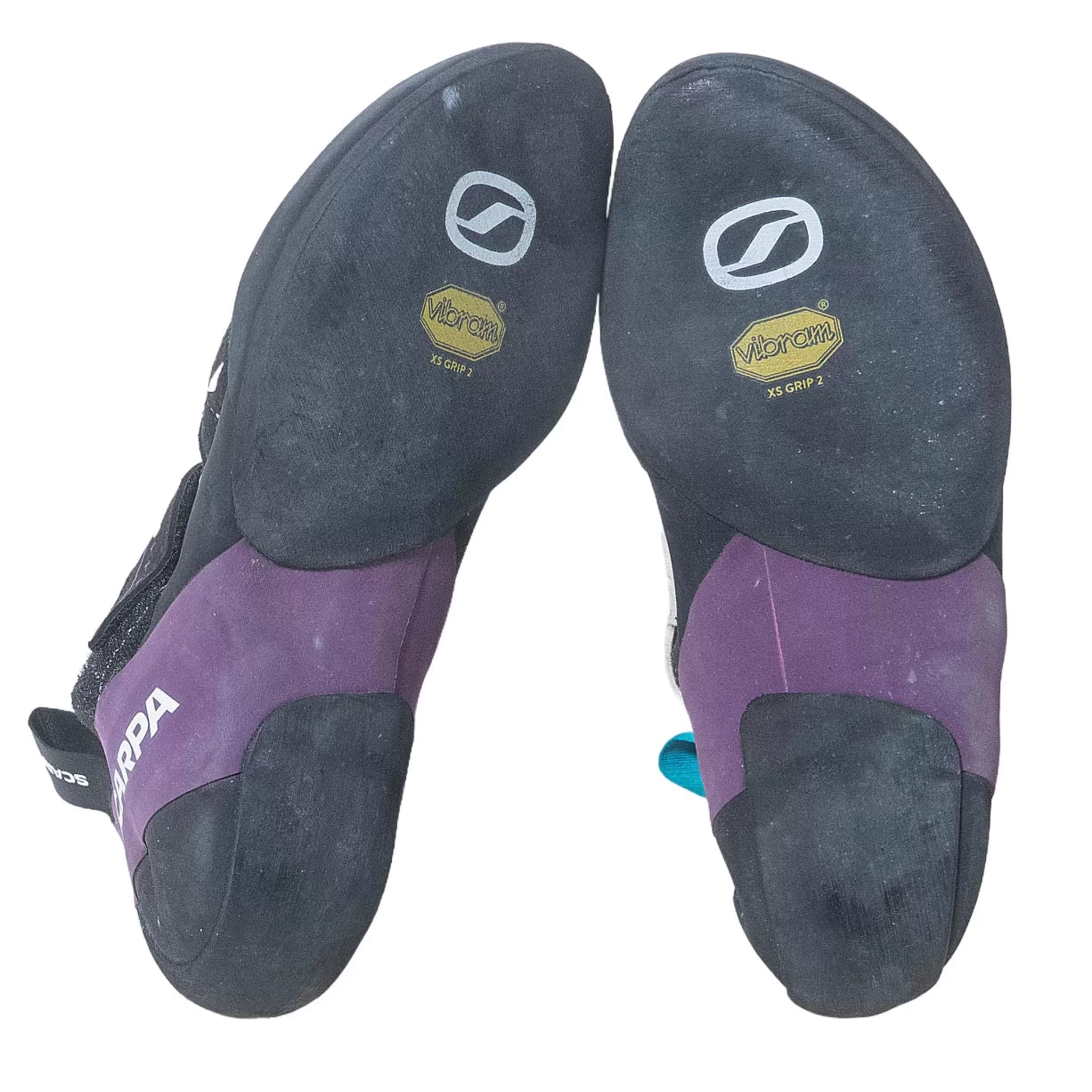 39.5Purple/Black