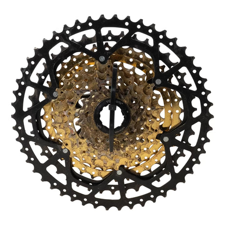 One SizeBlack/Gold
