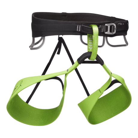 XSVerde