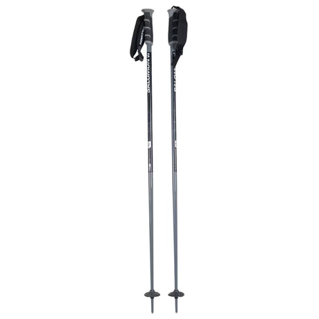 Salomon Arctic S3 Ski Pole / Blue / 110cm –