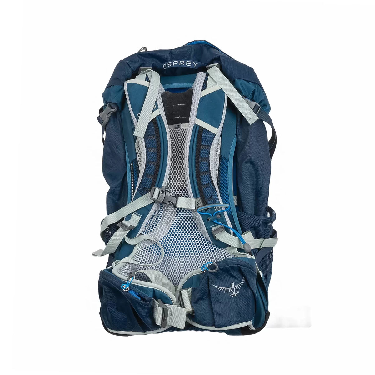 36 LBlue