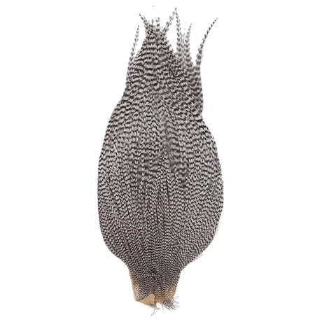 One SizeWhite / Brown