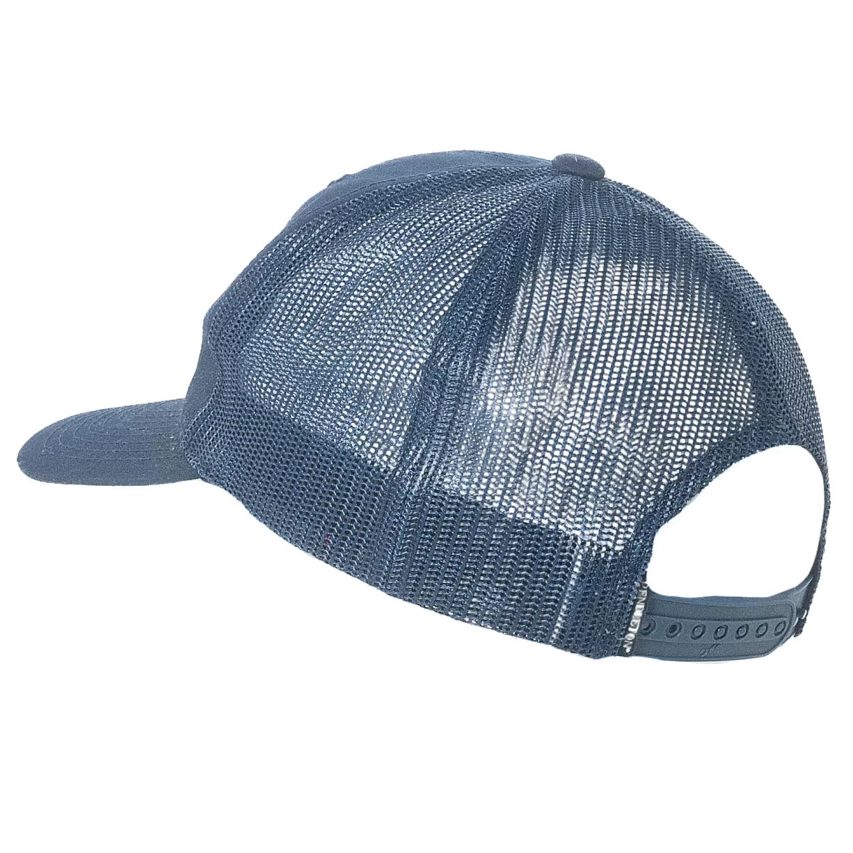 OneBlue