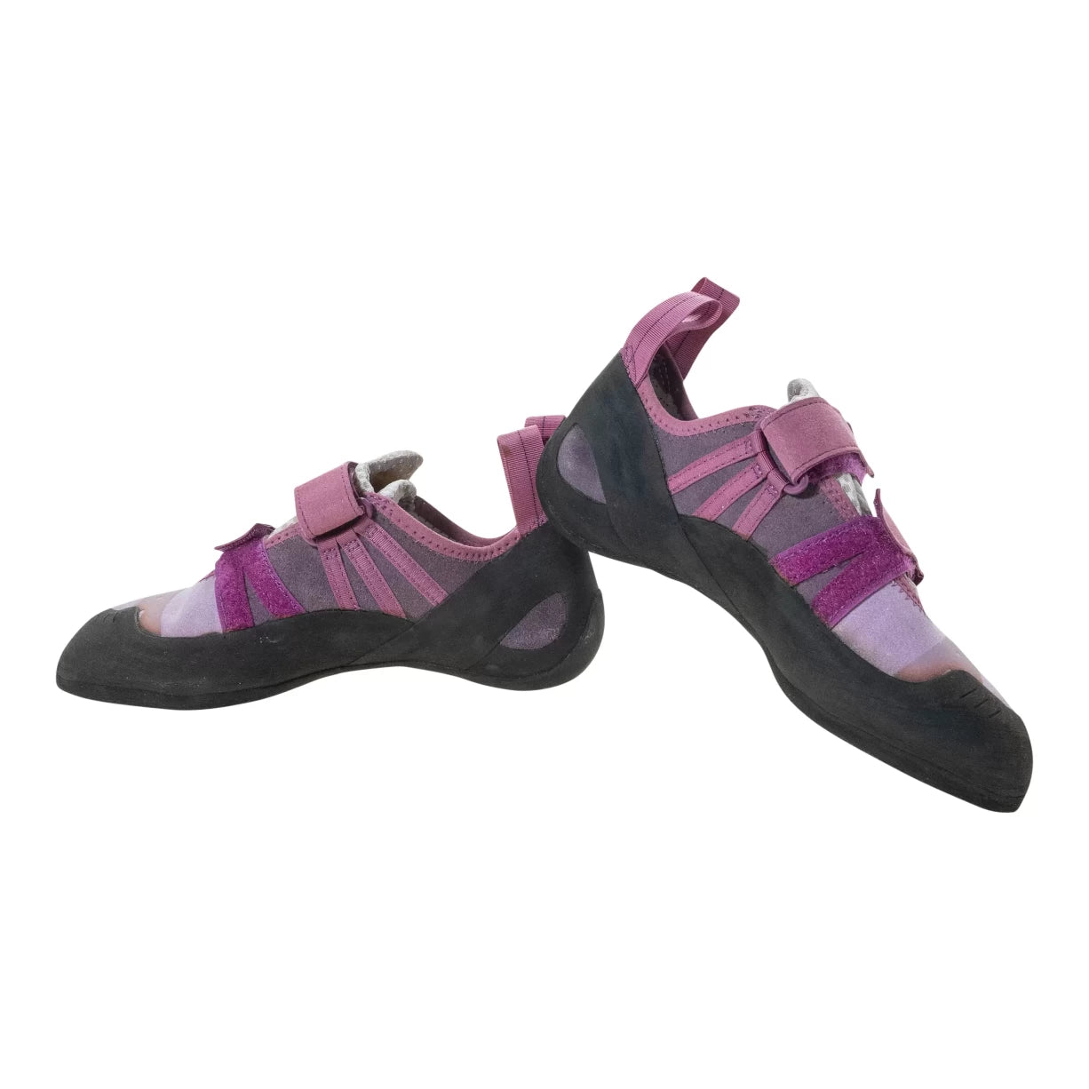 39.5Purple/Black