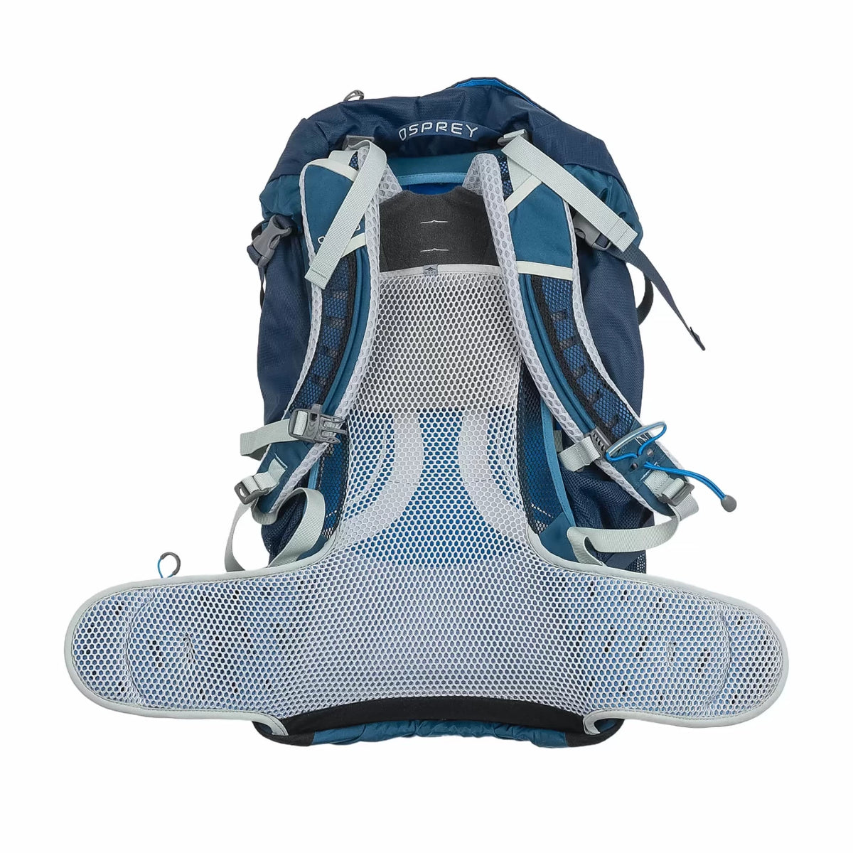 36 LBlue